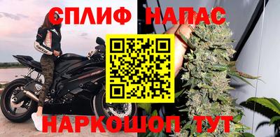ешки Кингисепп