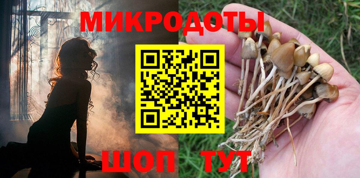 Конаково  Галлюциногенные грибы Cubensis  Вход с VPN  Галлюциногенные грибы мицелий 